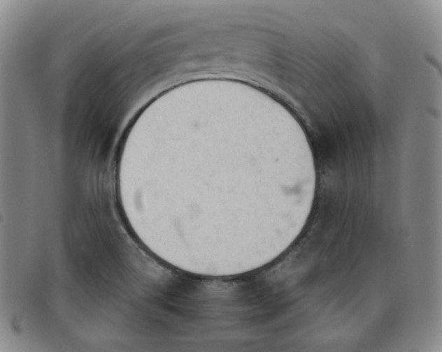 X0000098141514200804241701