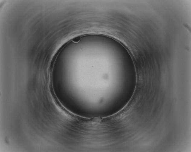 X0000098141515200804241701