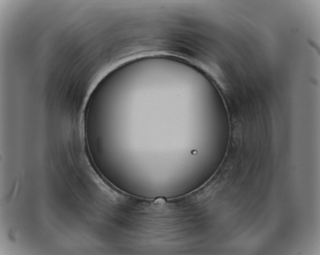 X0000098141516200804241701