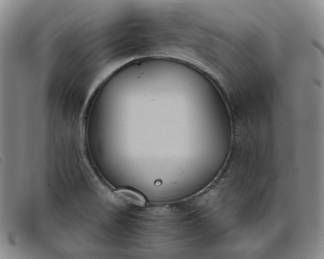 X0000098141517200804241702