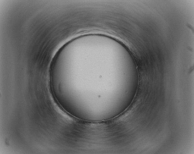 X0000098141518200804241702