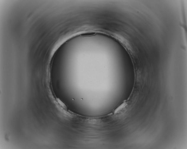 X0000098141520200804241702