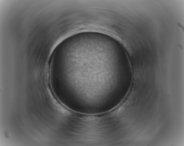 X0000098141522200804241702