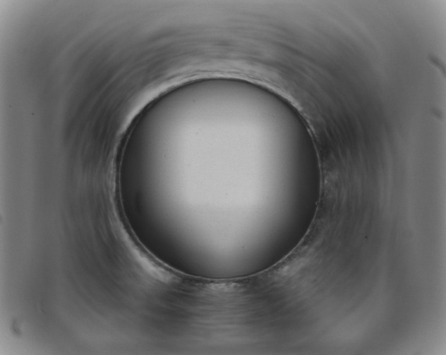 X0000098141523200804241702