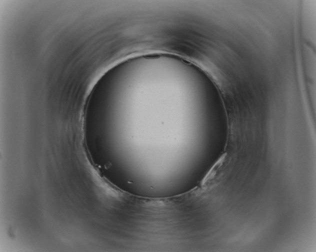 X0000098141524200804241702
