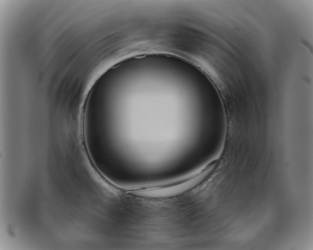X0000098141528200804241702