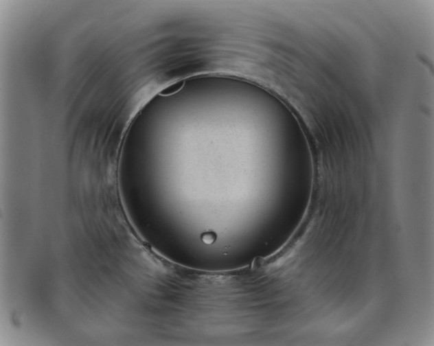 X0000098141529200804241702