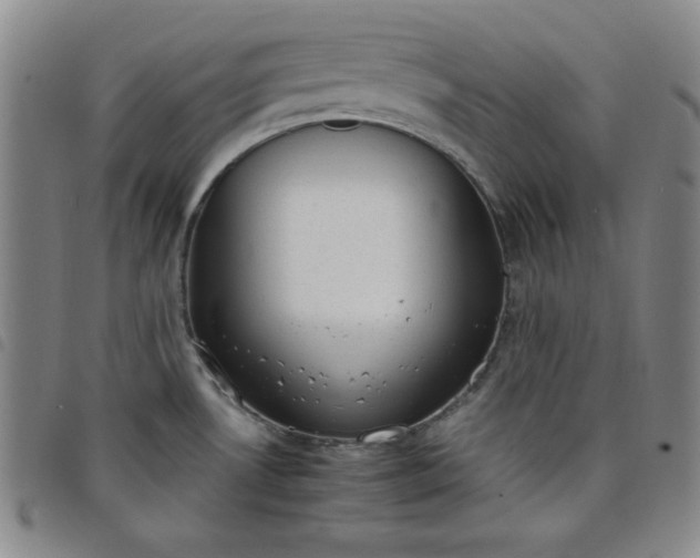 X0000098141530200804241702