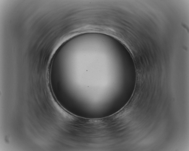 X0000098141531200804241702