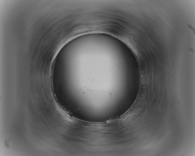 X0000098141532200804241702
