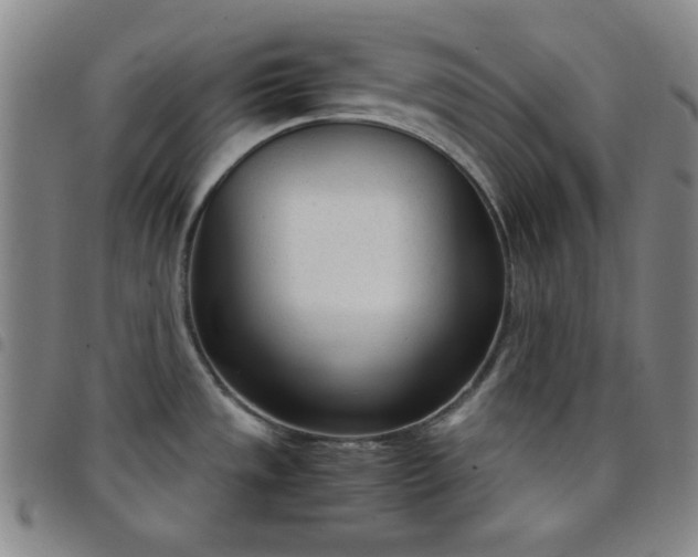 X0000098141533200804241702