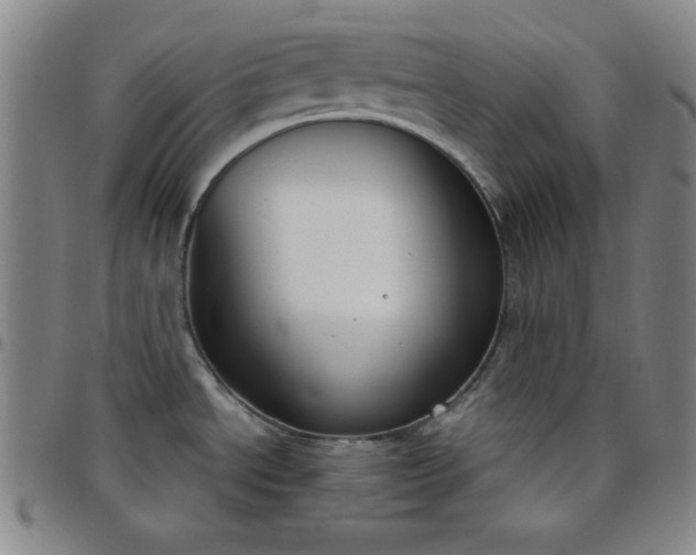 X0000098141534200804241702
