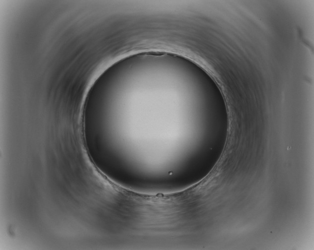 X0000098141536200804241702