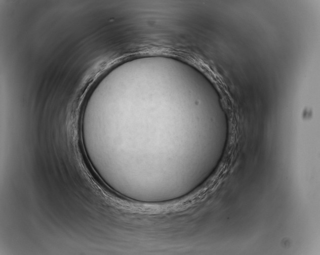 X0000098140002200805011355