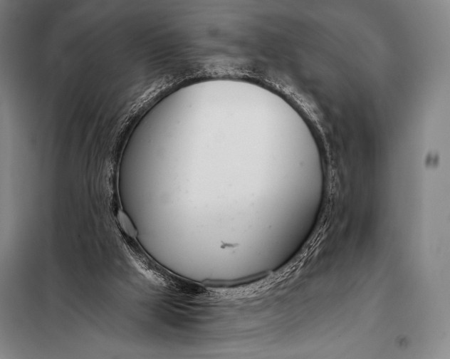 X0000098140009200805011354