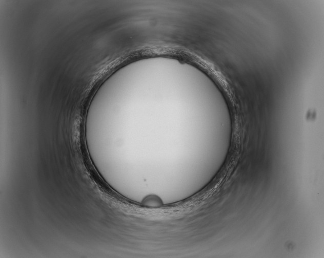 X0000098140010200805011354