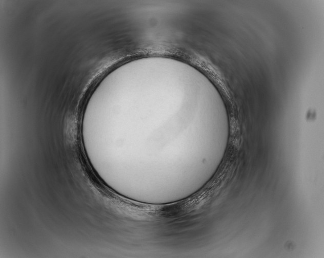 X0000098140012200805011354