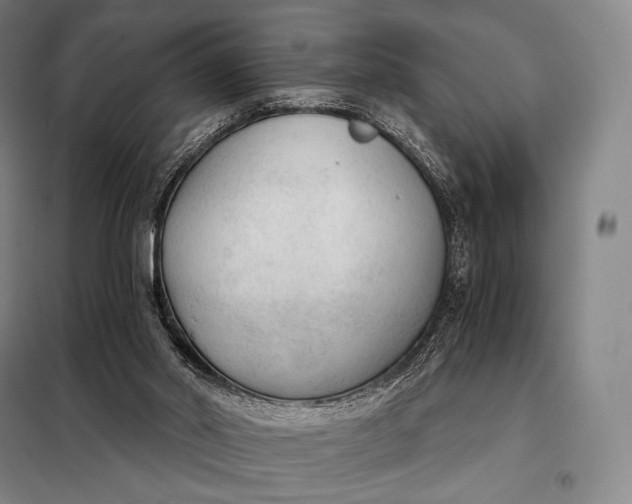 X0000098140014200805011354