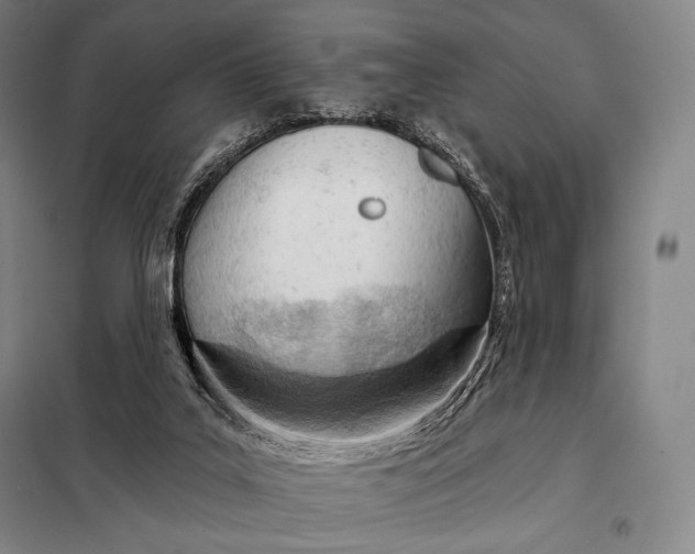 X0000098140019200805011354