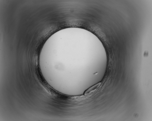 X0000098140021200805011354