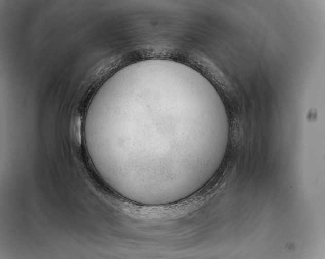 X0000098140022200805011354