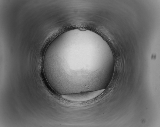X0000098140023200805011354