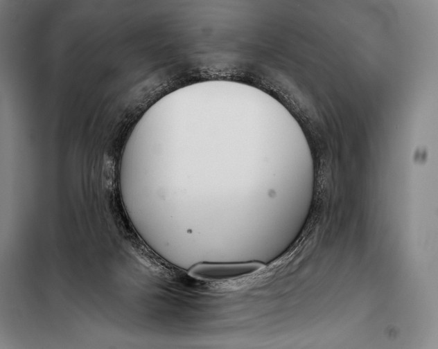 X0000098140025200805011354