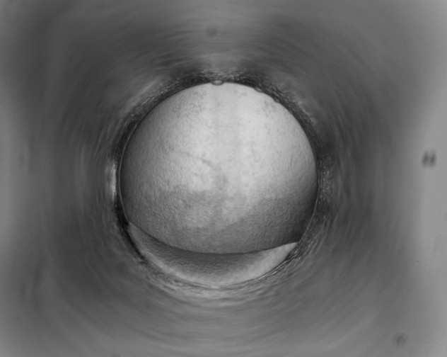 X0000098140027200805011354