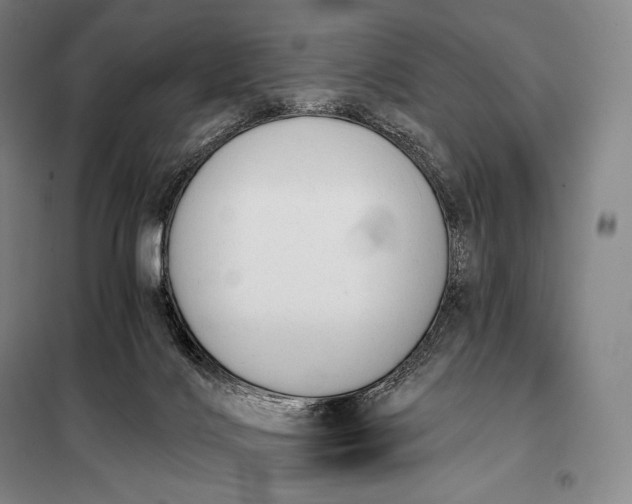 X0000098140028200805011354