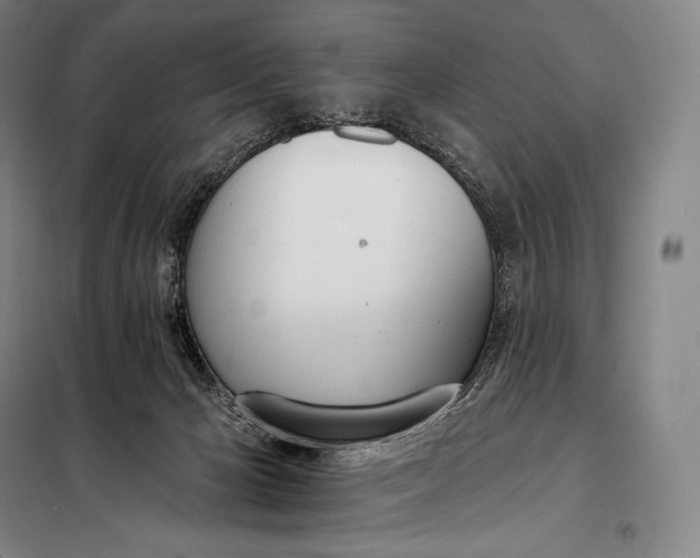 X0000098140029200805011354