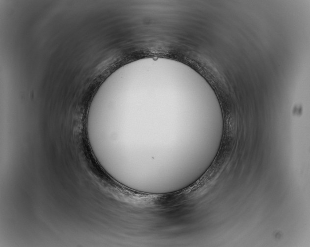 X0000098140032200805011354