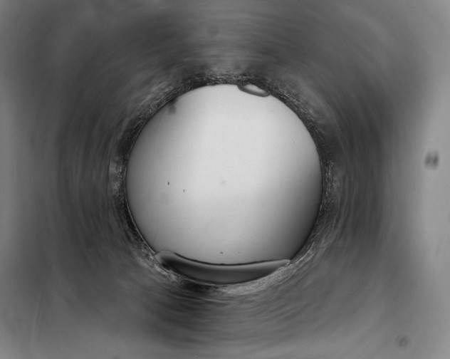 X0000098140033200805011354