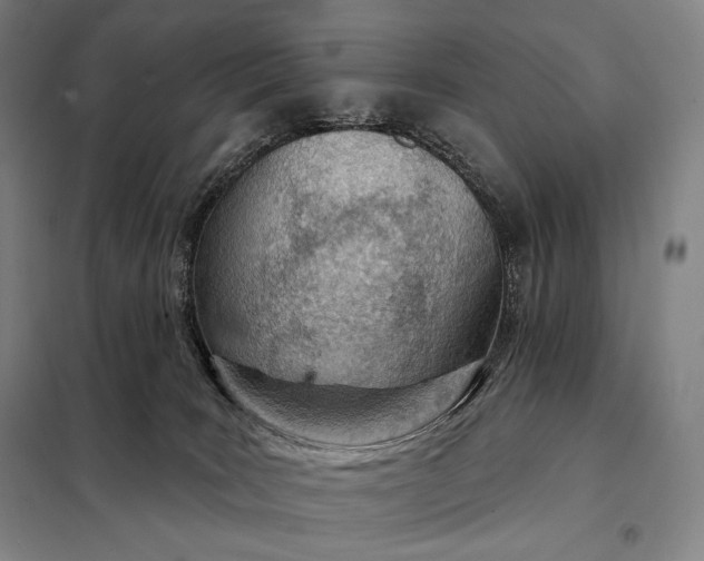 X0000098140035200805011354