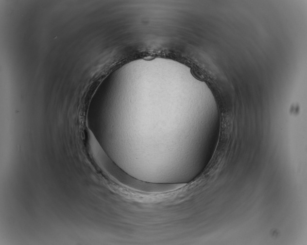 X0000098140039200805011354
