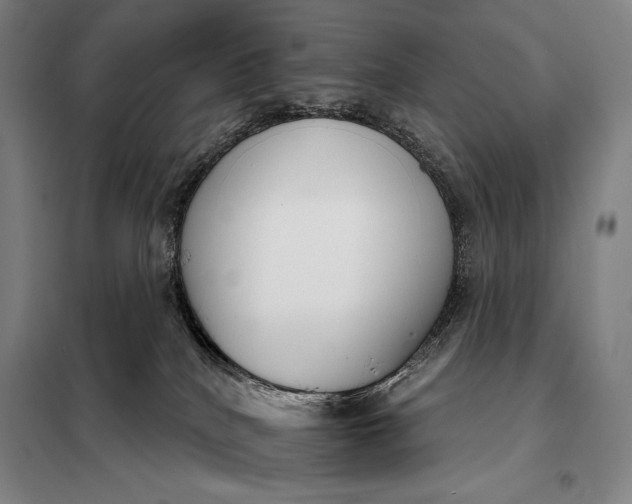 X0000098140040200805011354