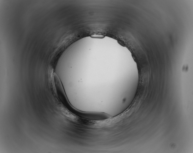 X0000098140041200805011354