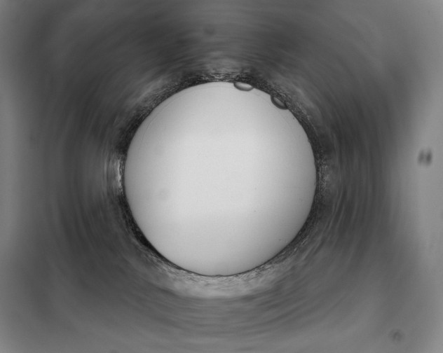 X0000098140042200805011354