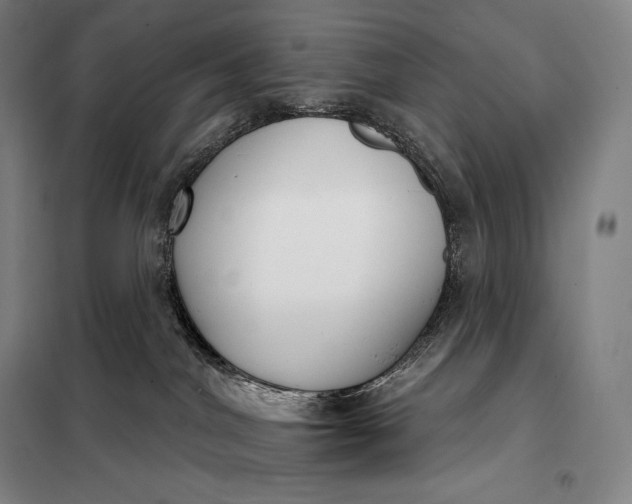 X0000098140044200805011354