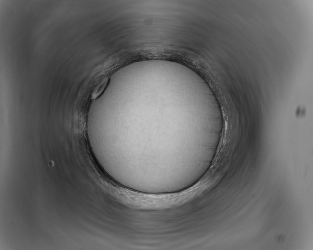 X0000098140048200805011354