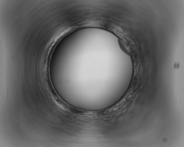 X0000098140050200805011353