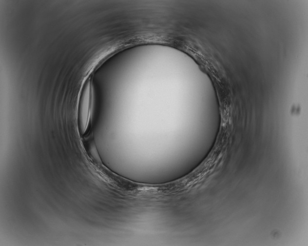 X0000098140052200805011353