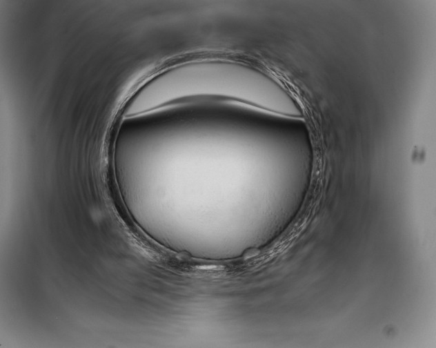 X0000098140053200805011353