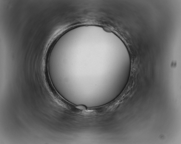 X0000098140055200805011353