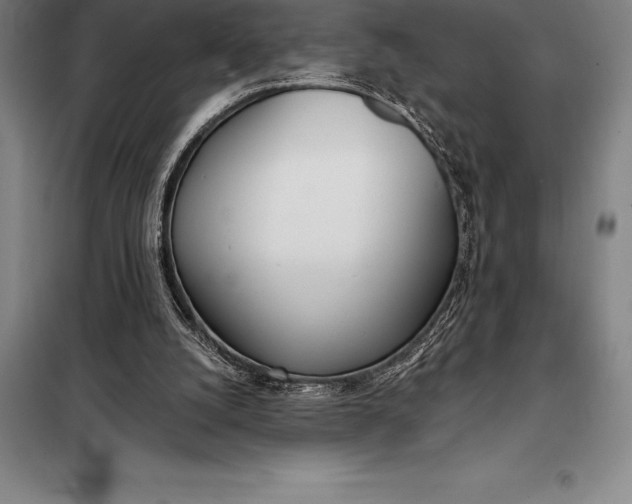 X0000098140056200805011353