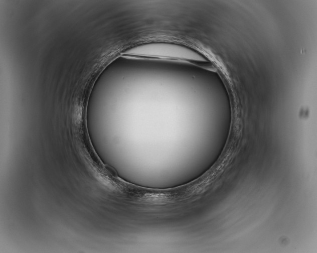X0000098140057200805011353