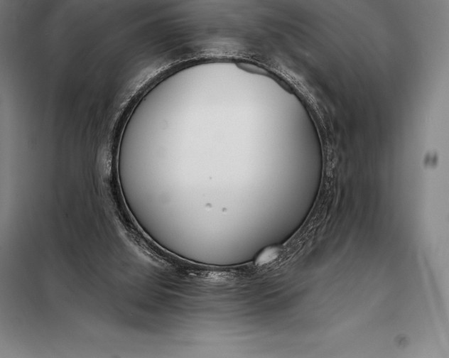 X0000098140060200805011353
