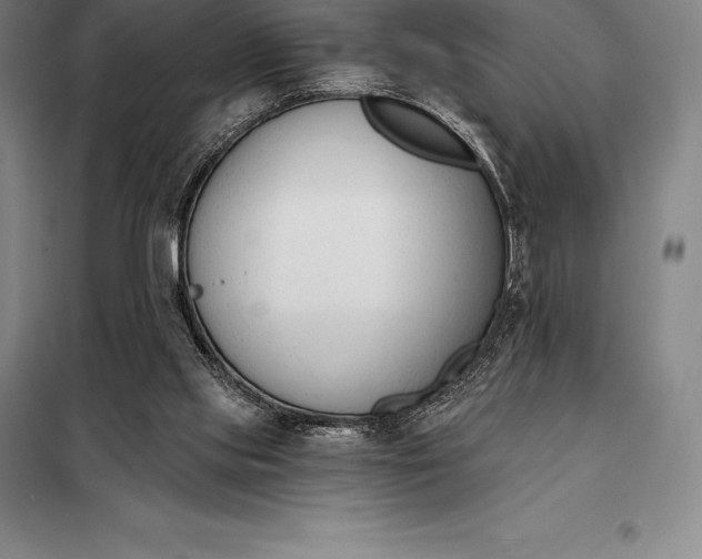 X0000098140061200805011353