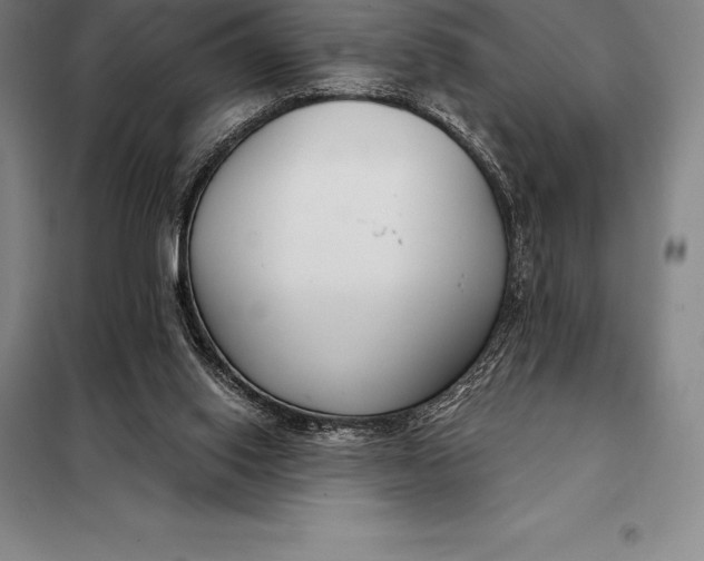 X0000098140062200805011353