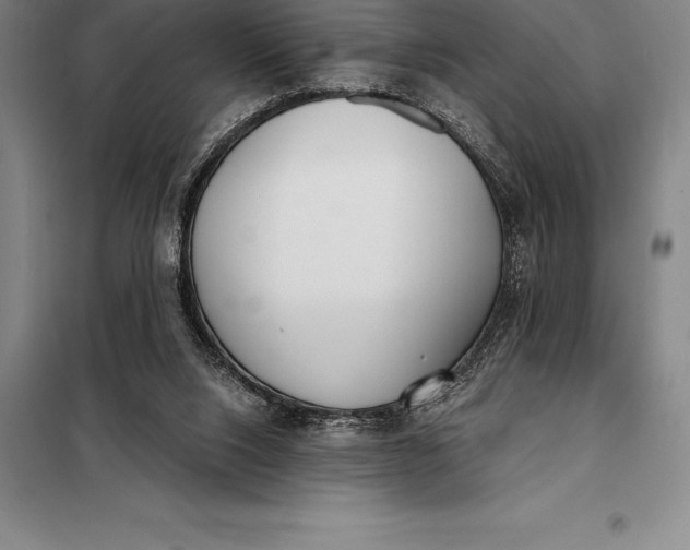 X0000098140064200805011353