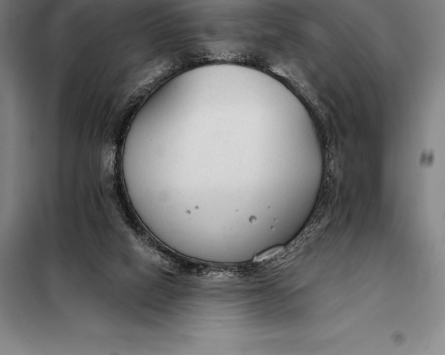 X0000098140066200805011354